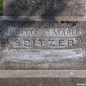 Spitzer Marcus