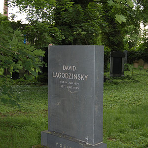 Lagodzinsky David