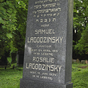 Lagodzinsky Samuel