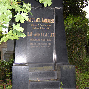 Tandler Katharina
