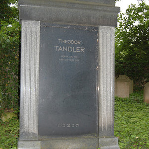 Tandler Theodor