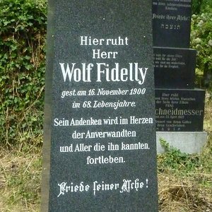 Fidelly Wolf