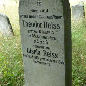 Reiss Theodor