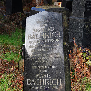 Bachrich Marie