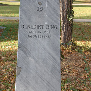 Bing Benedikt