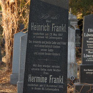 Frankl Heinrich