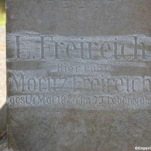 Freireich Moritz
