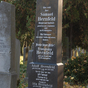 Hernfeld Franziska