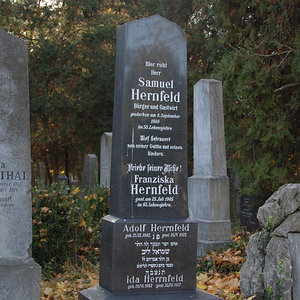 Hernfeld Samuel