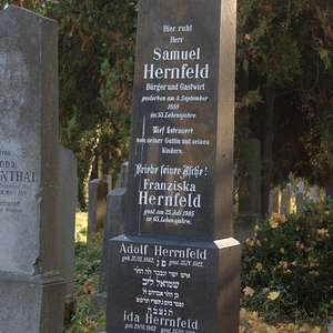 Hernfeld Samuel