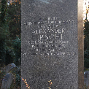 Hirschl Alexander