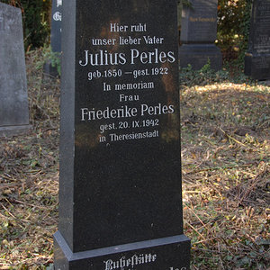 Perles Julius
