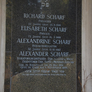 Scharf Alexandrine