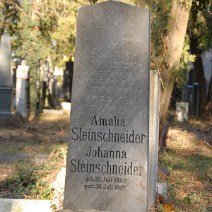 Steinschneider Amalia