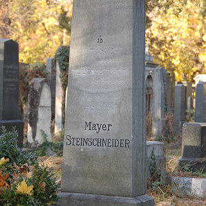 Steinschneider Mayer