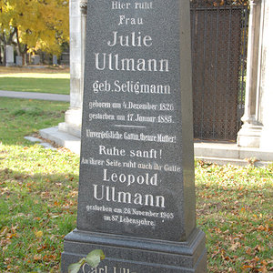 Ullmann Julie