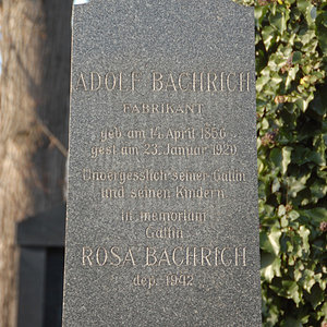 Bachrich Rosa