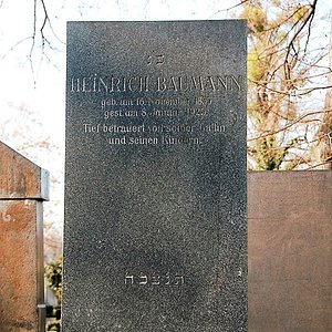 Baumann Heinrich