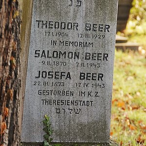 Beer Salomon