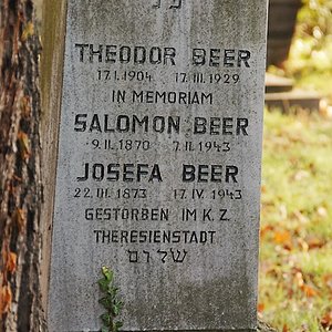 Beer Theodor