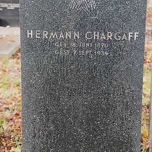 Chargaff Hermann