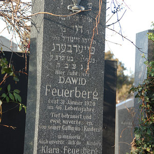 Feuerberg Dawid