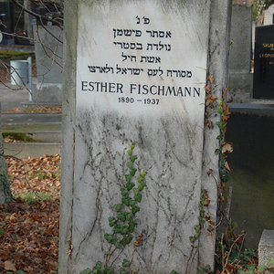 Fischmann Esther Erna