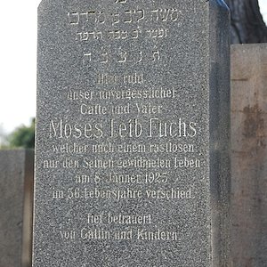 Fuchs Moses Leib