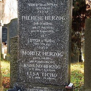 Herzog Moritz
