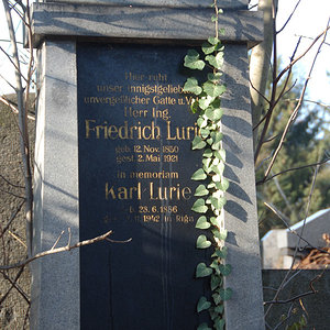 Lurie Friedrich Ing.