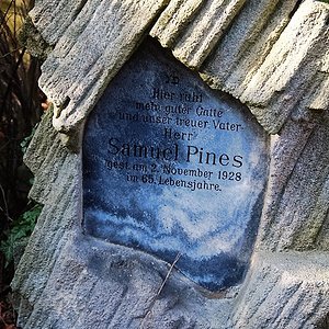 Pines Samuel