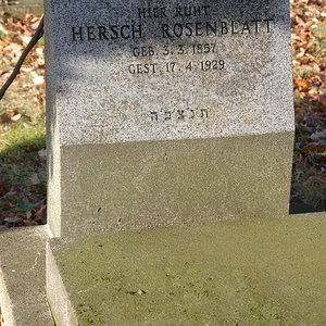 Rosenblatt Hersch
