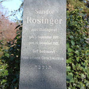 Rosinger Sandor