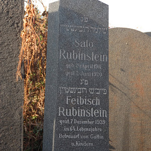Rubinstein Feibisch
