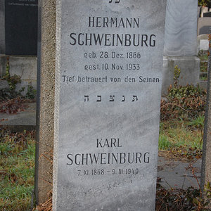 Schweinburg Hermann