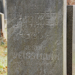 Weissmann Wolf