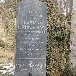 Grünspann Hermann