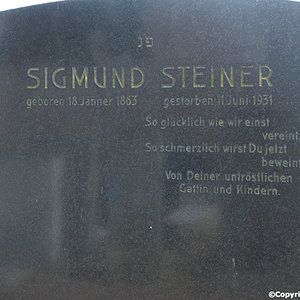 Steiner Sigmund Seligmann