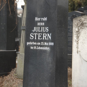 Stern Julius