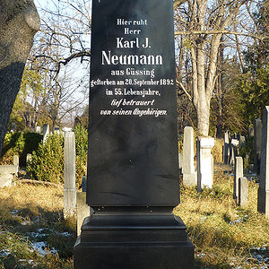 Neumann Karl J.