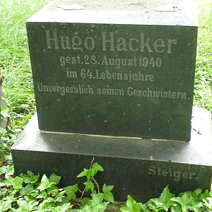 Hacker Hugo Israel