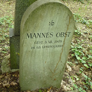 Obst Mannes