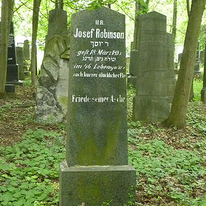 Robinson Josef