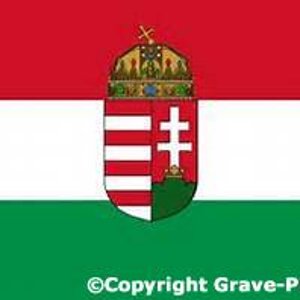 Flagge der Hungarian Republic