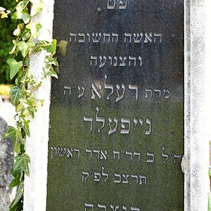 Tombstone Hebrew 58