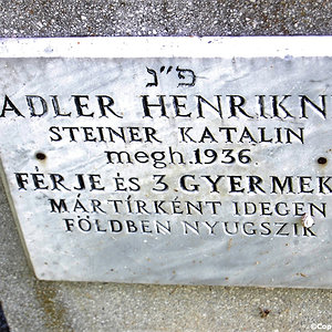 Adler Henrikne