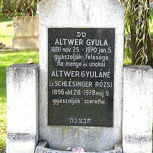 Altwer Gyula