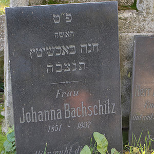 Bachschitz Johanna