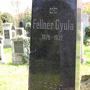 Fellner Gyula