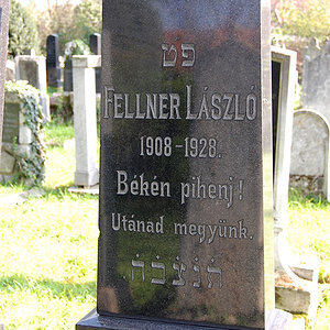 Fellner Laszlo